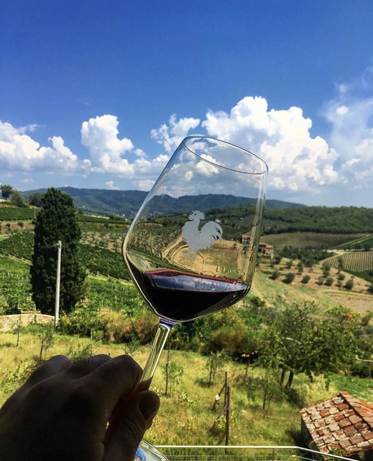 The Chianti Classico Marathon 2019 between walks and tastings in the winery in a wonderful territory like Chianti Classico