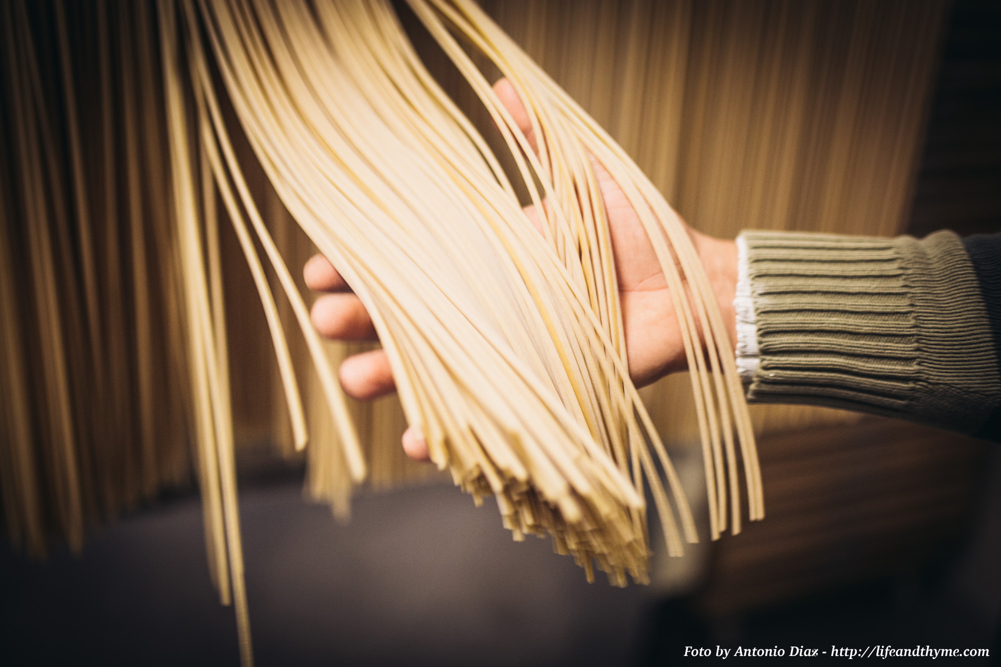 Visita al Museo del Pastificio Artigiano Fabbri e laboratorio della pasta